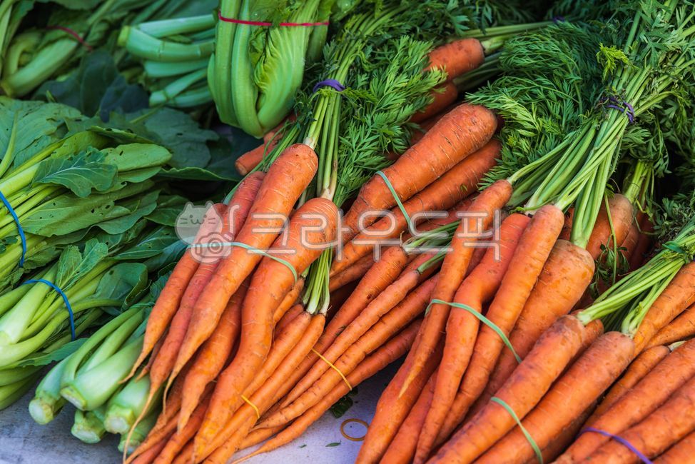 carrot,당근,vegetable,야채,음식,food,채소