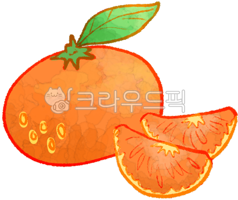 귤, 감귤, 과일, fruits, 果物, 사진,이미지,일러스트,캘리그라피 - 샤호툰작가