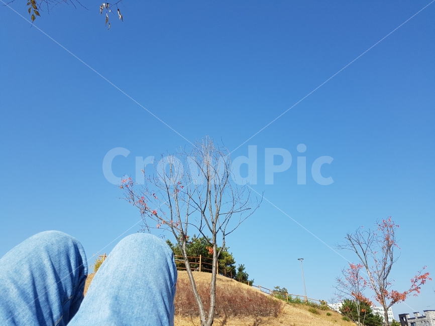 다리,사진,하늘,구름,앙상,가을,계절,fall,autumn,season,사람,인물,인간,human,person,신체일부,몸,body,leisure activities,레저 활동,adventure,모험,outdoors,옥외,field,들,grassland,목초지