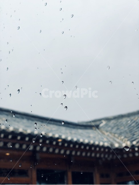 한옥,비,빗방울,유리,지붕,기와,한국전통,한국문화,korean traditional,korean culture,건축물,건물외관,exterior,building,structure,architecture,construction