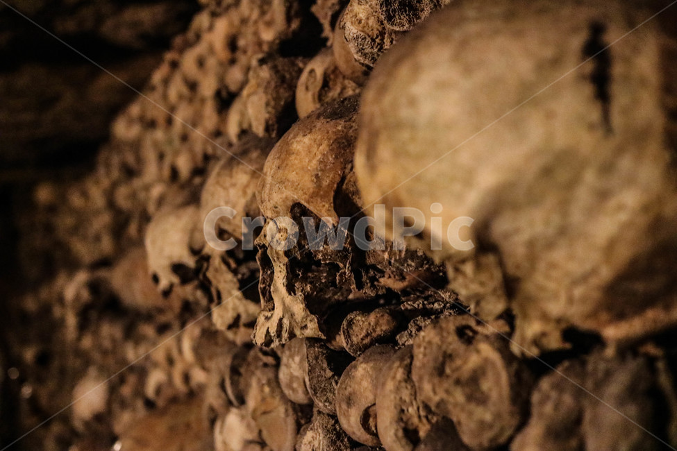 해골,카타콤,유적,지하묘지,유적지,묘지,skull,스컬,catacombs,파리,paris,공포,호러,무서운,무서움,horror,terror,fear