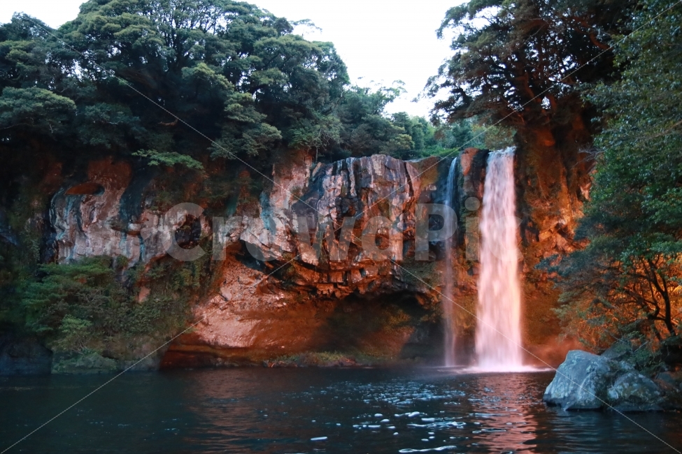 제주도,여행,폭포,천지연,관광지,제주도관광,자연,풍경,nature,landscape,제주도,jeju,jeju island,outdoors,옥외,river,강,water,물,waterfall