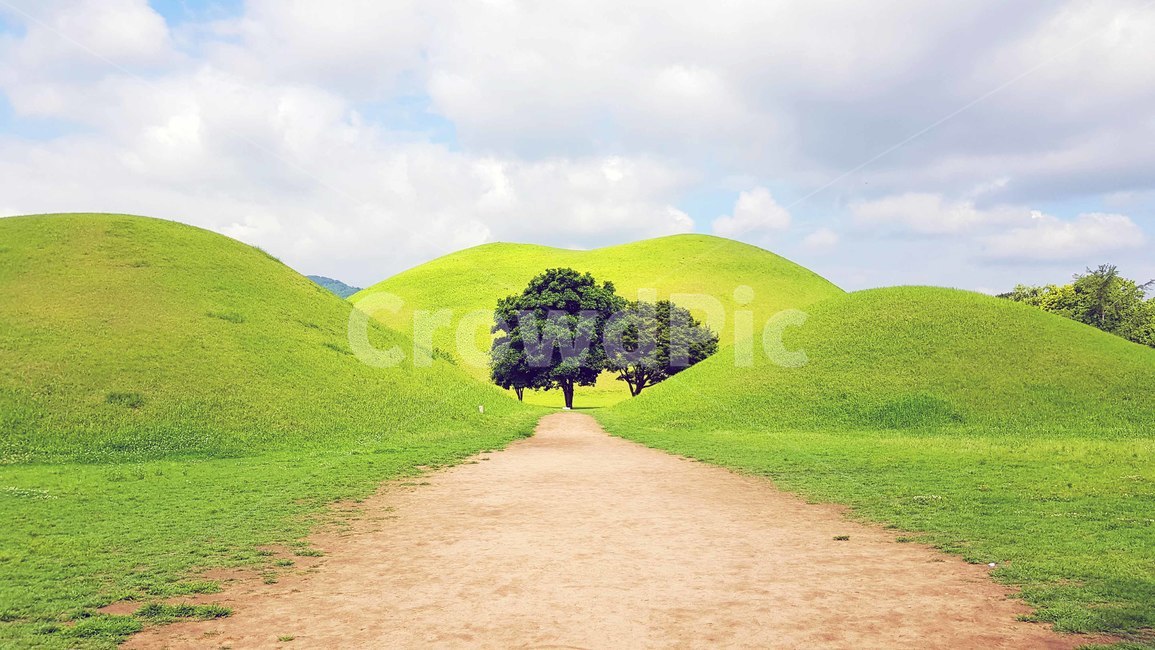 경주,대릉원,풍경,배경,여름,자연,풍경,nature,landscape,한국자연풍경,한국자연경관,korea nature landscape,한국전통,한국문화,korean traditional,korean culture,랜드마크,landmark,tourist attraction,한국랜드마크,한국관광지,한국명소,korea landmark,korea tourist attraction,grassland,목초지,outdoors,옥외,field,들,mound,투수판