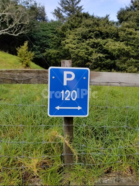 주차사인,parking120minutes,parkingsign,뉴질랜드교통사인,newzealand,symbol