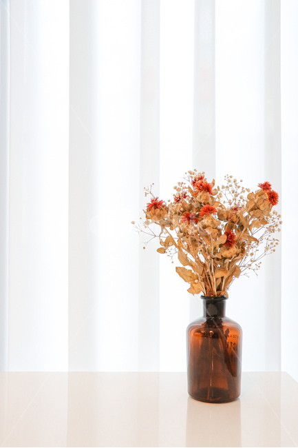 꽃,flowerarrangement,꽃꽂이,flower,blossom,plant,식물,실내용화초,화분,화초,house plant