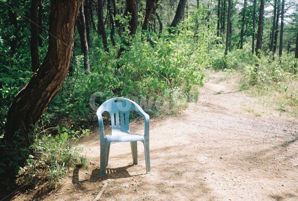 등산로,휴식,의자,숲,공원,휴식,힐링,rest,relaxation,healing
