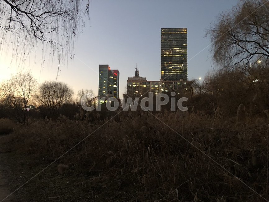 서울,한강공원,여의도,한강,공원,여의도한강공원,sky,park,evening,sunset,hangangpark,야경,밤,풍경,nightscape,night,landscape,도시,city,building,건물,office building,사무실 건물