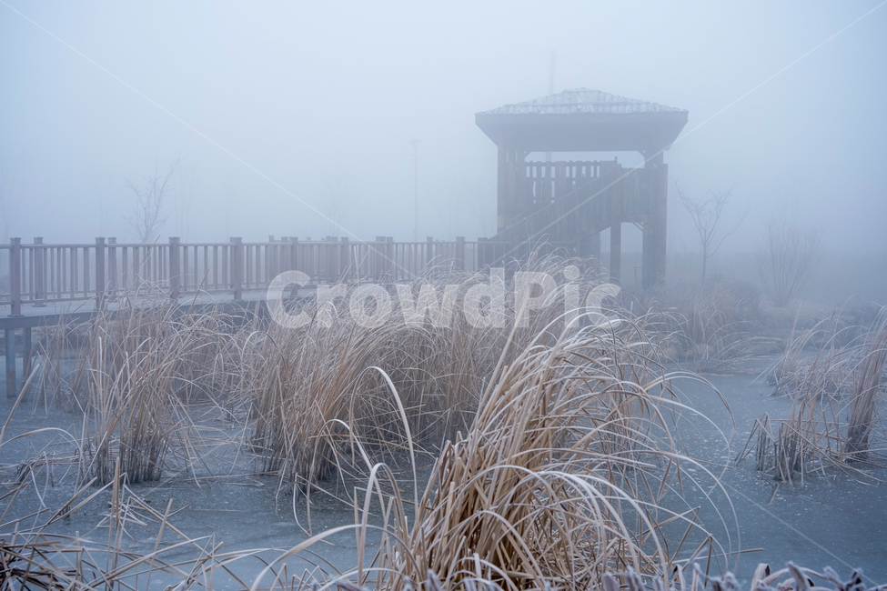 안개,공원,풍경,시설물,정자,겨울,계절,감성,겨울,계절,winter,season,자연,풍경,nature,landscape,outdoors,옥외,weather,날씨