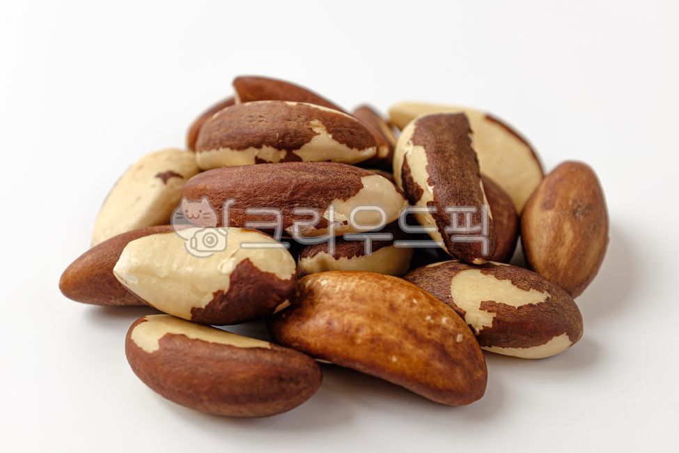 브라질너트,브라질넛,견과류,견과,씨앗,간식,디저트,브라질음식,브라질문화,음식,식사,식품,식료품,재료,식재료,음식재료,클로즈업,고소한,단단한,음식,식재료,요리,food,cook,meal,dishes,food reserves