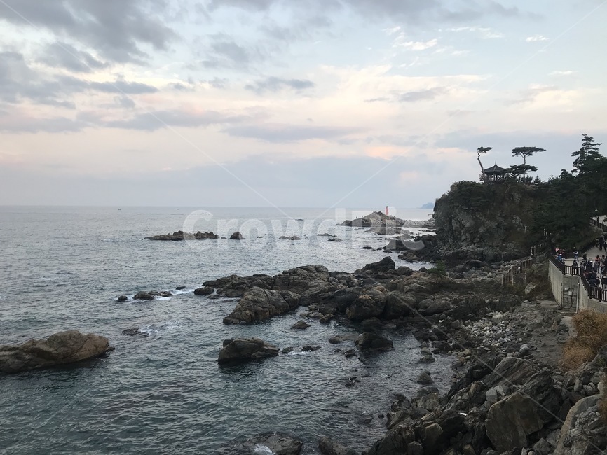 바다,낙산사,풍경,돌,하늘,나무,자연,파도