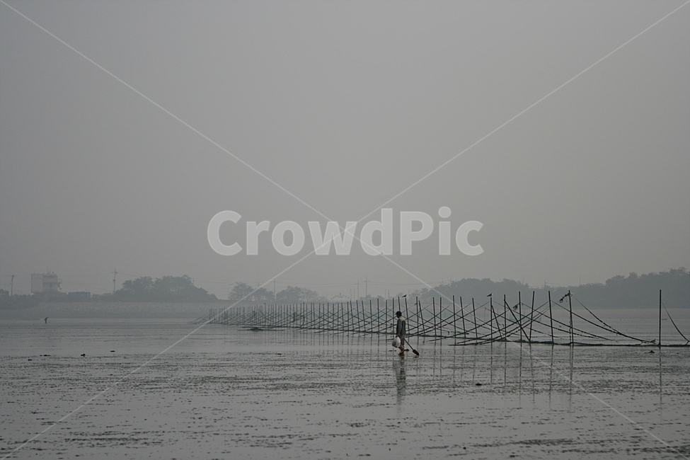 대부도,갯벌,안개,자연,바다,자연,풍경,nature,landscape,산업,industry,industrial,어업,fishery,fishing industry
