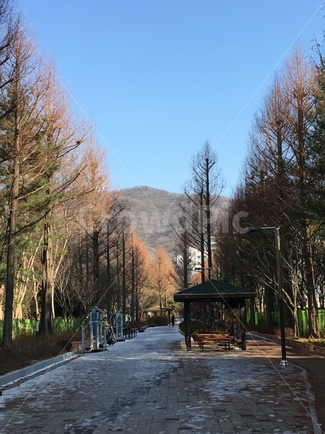 풍경,거리,나무,석양,가을느낌,분위기,겨울,따뜻함,포근함,자연,풍경,nature,landscape,겨울,계절,winter,season