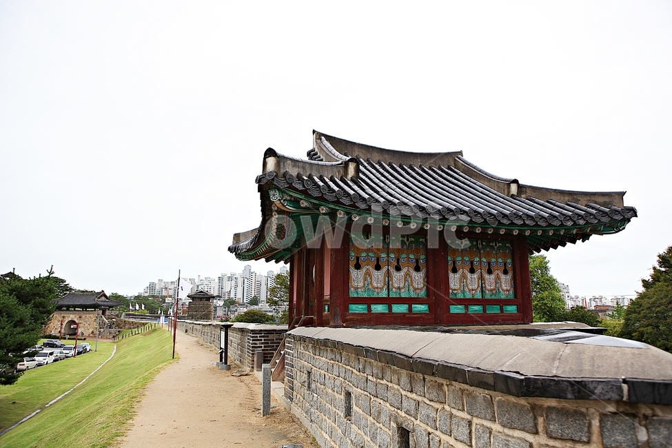 수원화성,성,성곽,길,둘레길,돌담,담,여름,자연,풍경,벽,방어벽,흙담,전통,한국전통,한국문화,korean traditional,korean culture