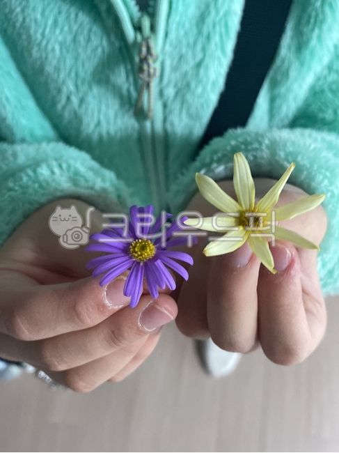 finger,purple flower,yellow flower,wild flowers,flower