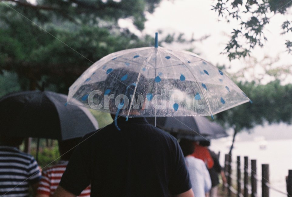 umbrella,우산,person,사람,비오는날,필름사진,감성사진,비,비오는날,rain,rainy