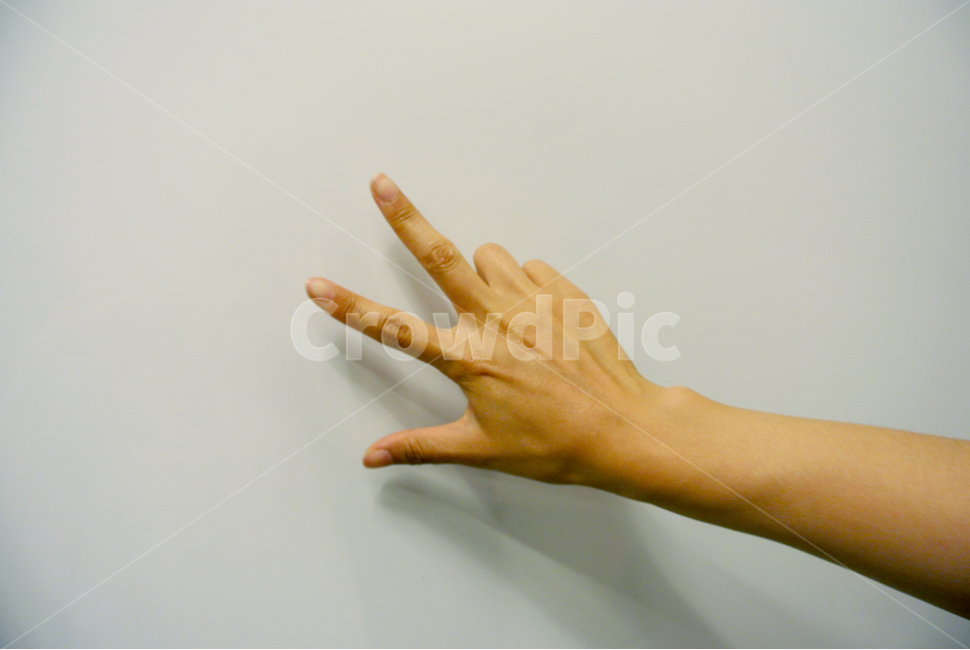 손,여자,손가락,숫자,세개,화이트보드,흰색,삼,표시,3,3개,손동작,신체일부,몸,body,손,제스처,표시,손짓,표현,gesture,hand,sign,expression