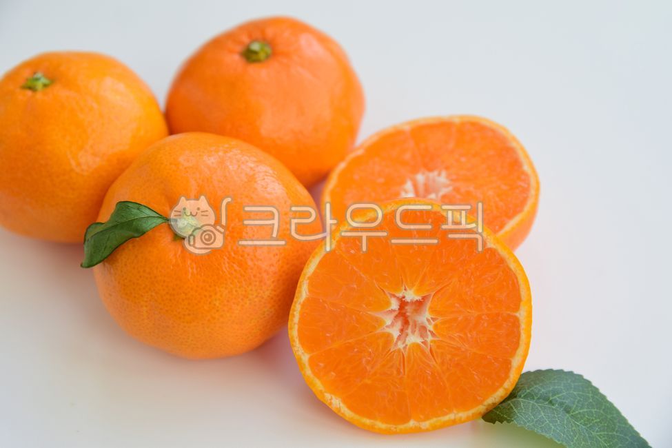 귤,감귤,감귤류,과일,식재료,음식,주황,주황색,겨울,겨울과일,귤단면,단면,감귤류과일,컷,커팅,반귤,커팅귤,반자른,자른,싱싱한,과즙,과육,열매,orange,citrusfruit,fruit,food,foodreserves,tangerine,mandarin,흰색,배경,바탕,흰색배경,흰색바탕,white,background,whitebackground,음식,식재료,요리,food,cook,meal,dishes,food reserves,과일,열매,fruit