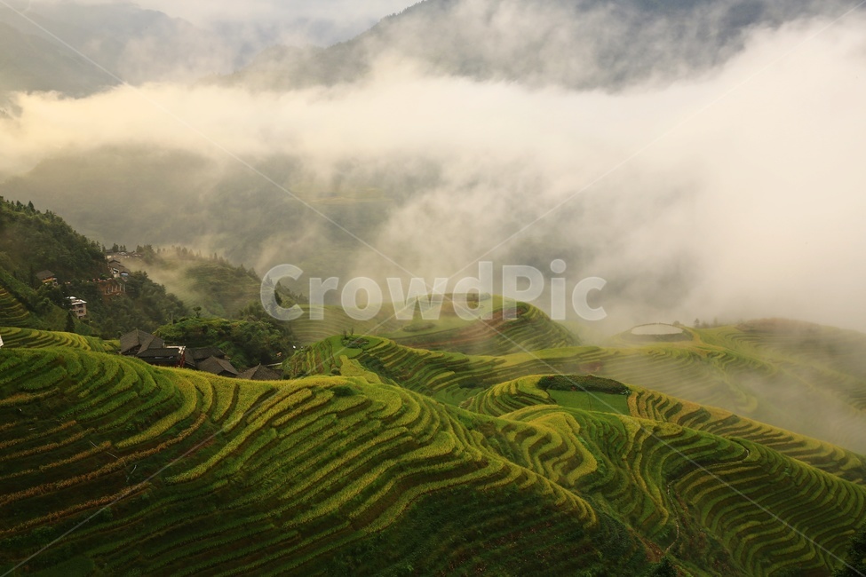 nature,자연,outdoors,옥외,countryside,field,들,hill,언덕,중국,계림,용척,용척다랭이논,다랭이논,다락논,농업,농경지,경작,농사,중국비경,경치,경관,풍경,운해,용척제전아침