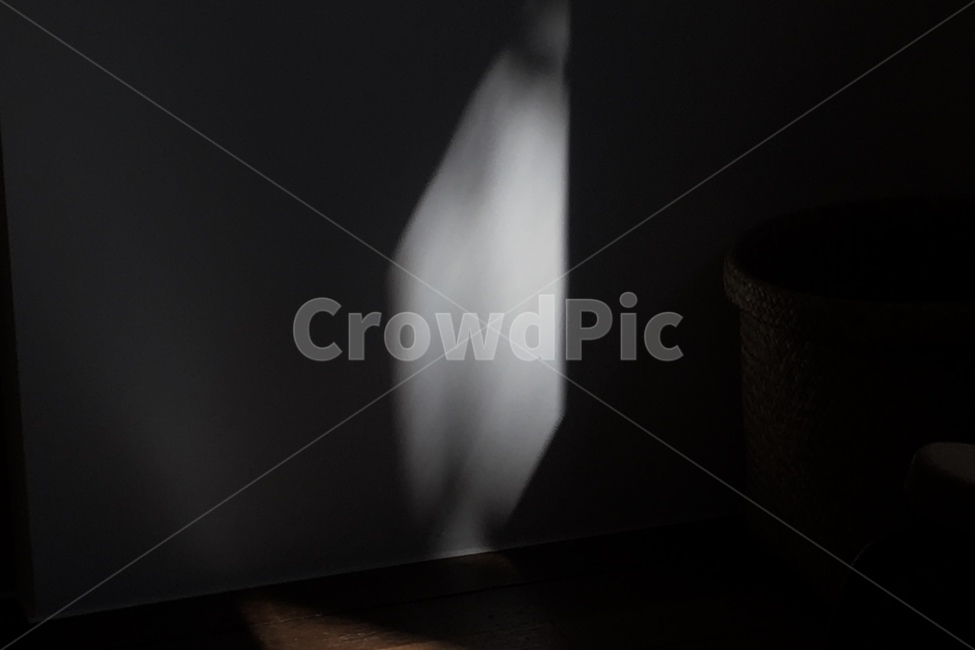 빛,어둠,검정,감성,햇빛,실루엣,그림자,silhouette,shadow