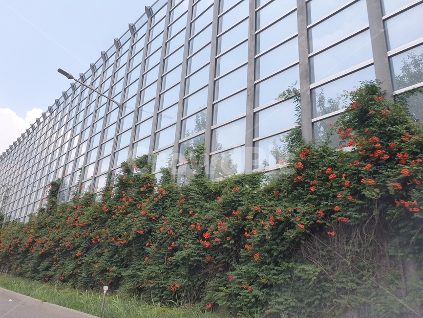 building,건물,officebuilding,plant,식물,grass,꽃