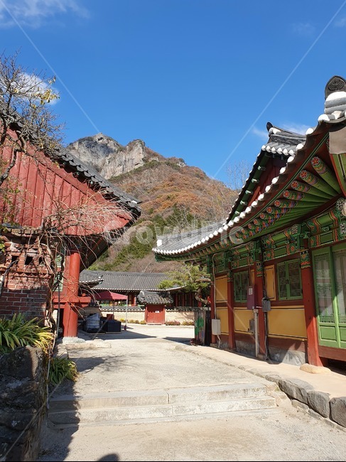 백양사,절,장성백양사,가을하늘,temple,한국전통,한국문화,korean traditional,korean culture,종교,신앙,religion,belief,faith
