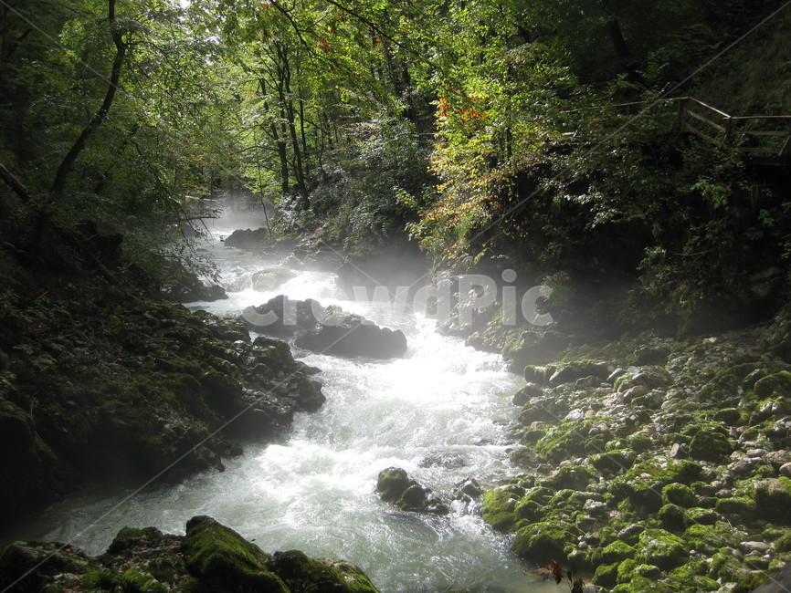 outdoors,nature,야외,자연,계곡,물,plant,식물,woodland,삼림지,stream,흐름,청정,시원,물보라,green,자연,풍경,nature,landscape