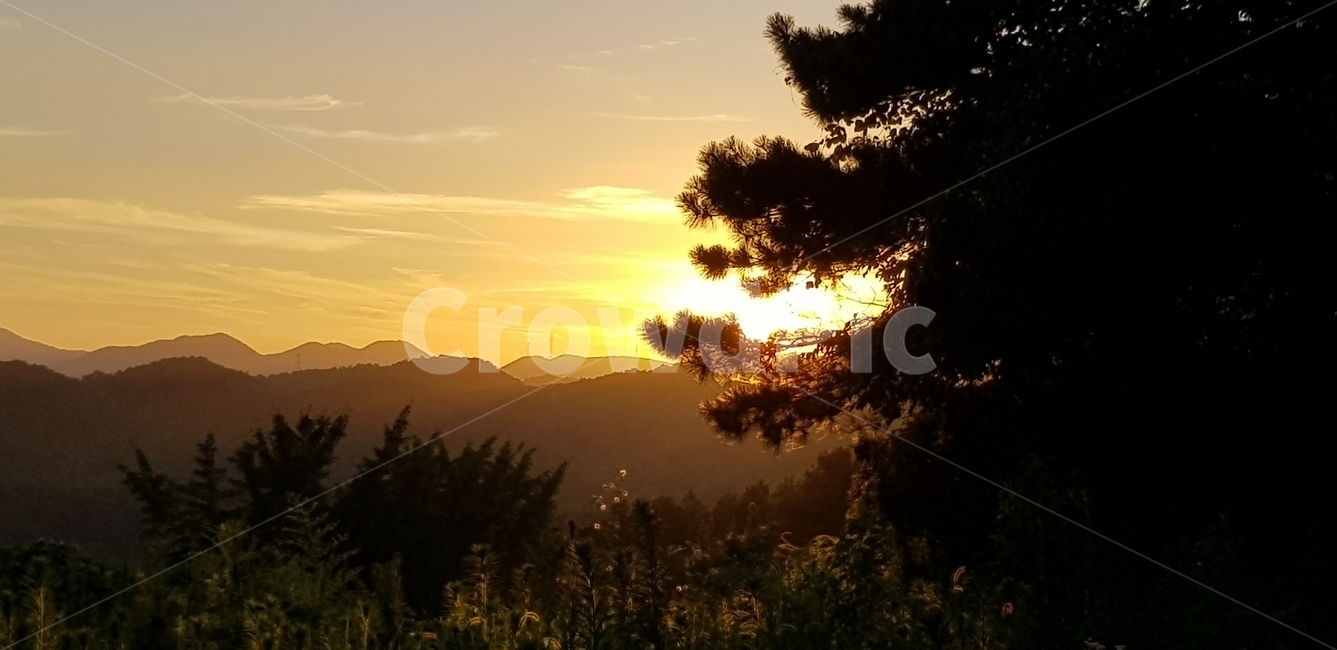 light,빛,sunlight,nature,자연,옥외,노을,하늘,황금빛