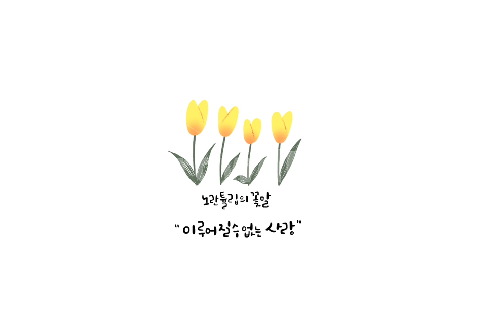 love,tulip picture,Flower language illustration,Tulip,Callie,Flower language calligraphy,flower painting,tulip illustration,yellow,yellow flower,flower calligraphy,flower,language of flowers,Tulip flower language,flower illustration,Tulip calligraphy,yell