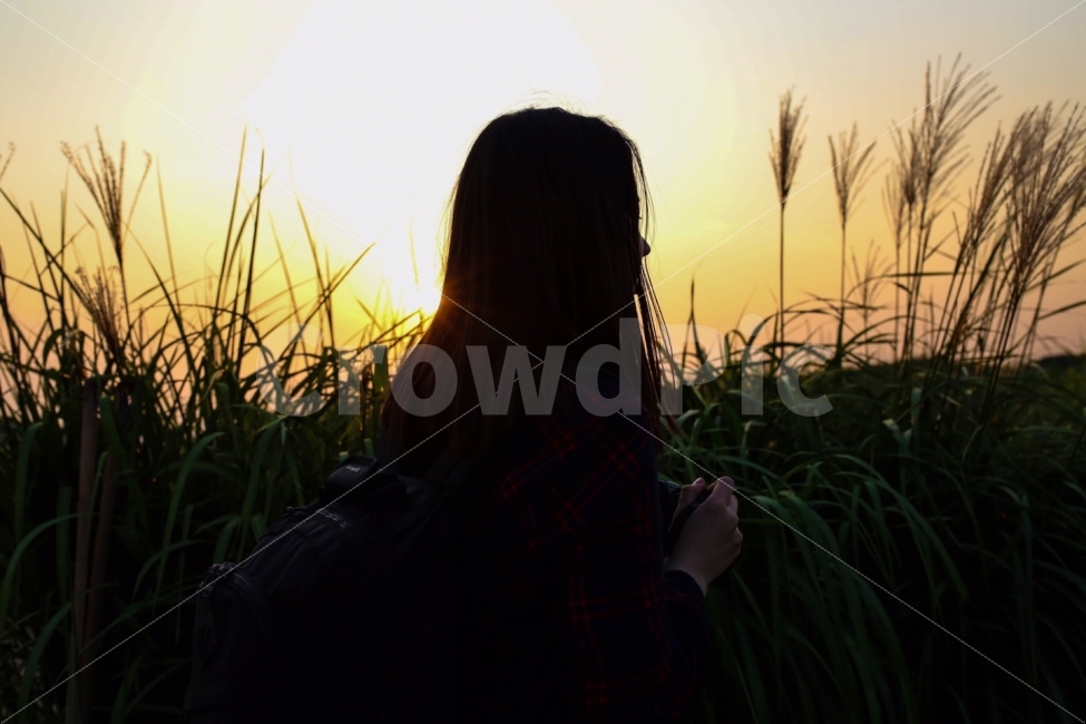 하늘공원,일몰,해,갈대밭,사진찍는사람,사람,인물,인간,human,person,여성,여자,woman,female,lady,인물실루엣,사람실루엣,character silhouette,human silhouette,감성,sensible,feeling,plant,식물,grass,잔디,flare,플레어,light,빛