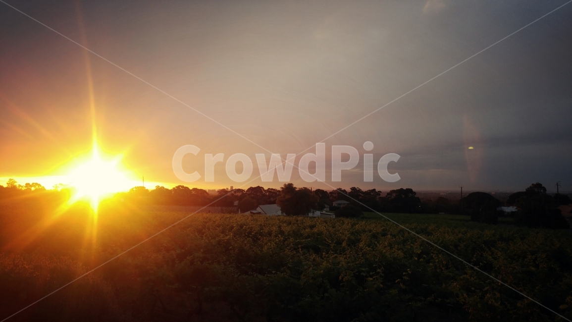 저녁,노을,evening,sunset,들판,field,calm,peaceful,tranquil,하늘,구름,sky,cloud,light,빛,태양,해,sun,감성사진,풍경,배경,배경사진,풍경사진,평화로운,분위기,차분한,차분함,평화로움,scene,ambience,atmosphere,still,background,자연,풍경,nature,landscape,flare,플레어,outdoors,옥외,sunlight,햇빛