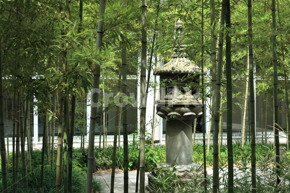 대나무,대나무숲,정원,석등,풍경,휴식,쉼,분위기,조경,석재,자연,풍경,nature,landscape,garden,outdoors,옥외,arbour,정자,plant,식물