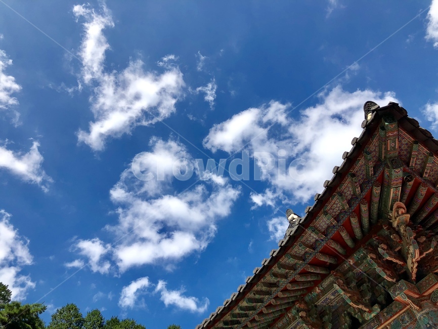 한국,고건축,건축,건축물,하늘,지붕,전통,절,사찰,계룡산,단청,맑음,불교,korea,architecture,tradition,sky,building,old,sunny,자연,아시아,동양,문화재,오래된,한국문화,한국전통,기와,역사,목조건물,한국전통,한국문화,korean traditional,korean culture,건축물,건물외관,exterior,building,structure,architecture,construction