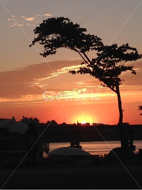 노을,sunset,한강,해질녘,풍경사진,뚝섬유원지,한강고수부지,여름저녁하늘,도시,풍경,city,landscape,한국도시풍경,한국도시경관,korea cityscape,실루엣,그림자,silhouette,shadow,nature,자연,outdoors,옥외,sunlight,햇빛