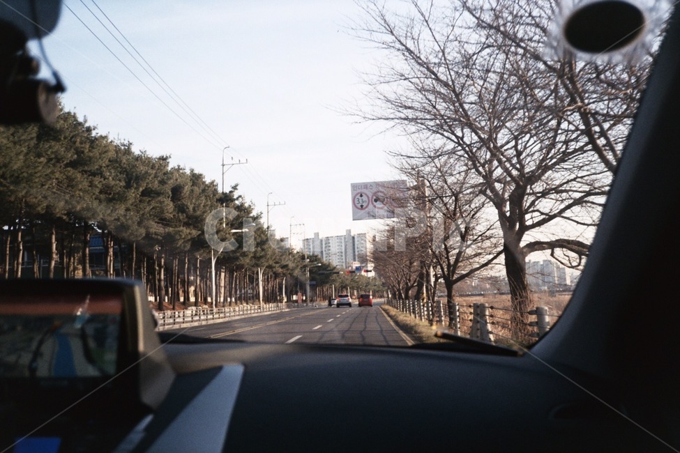드라이브,겨울,도로,나무,여행,겨울,계절,winter,season,교통,교통수단,traffic,transportation