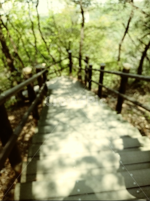 계단,산,등산,나무계단,숲,숲속