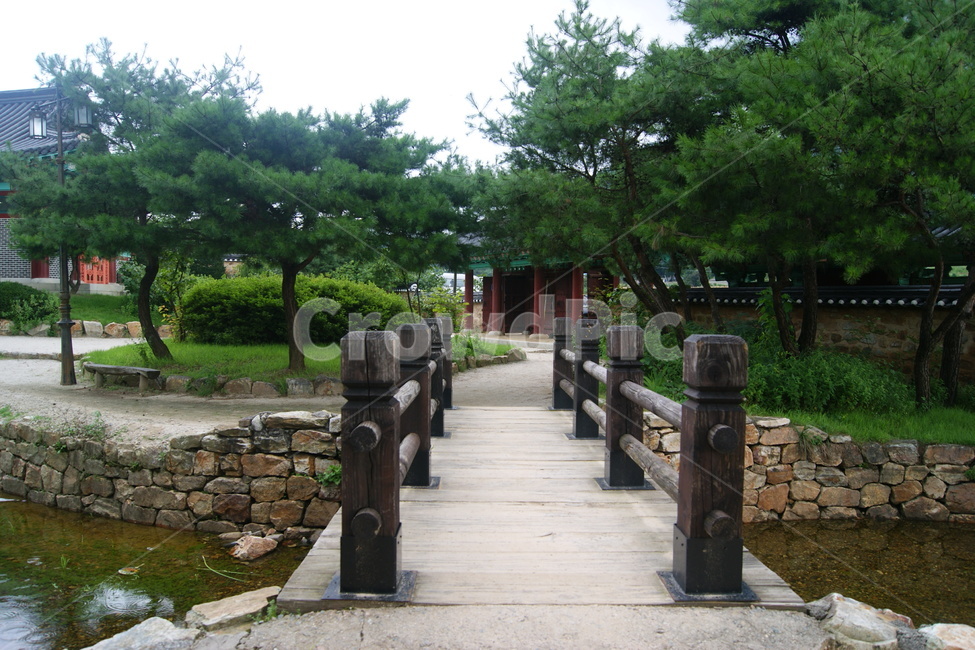 산책,시골,숲길,다리,산책로