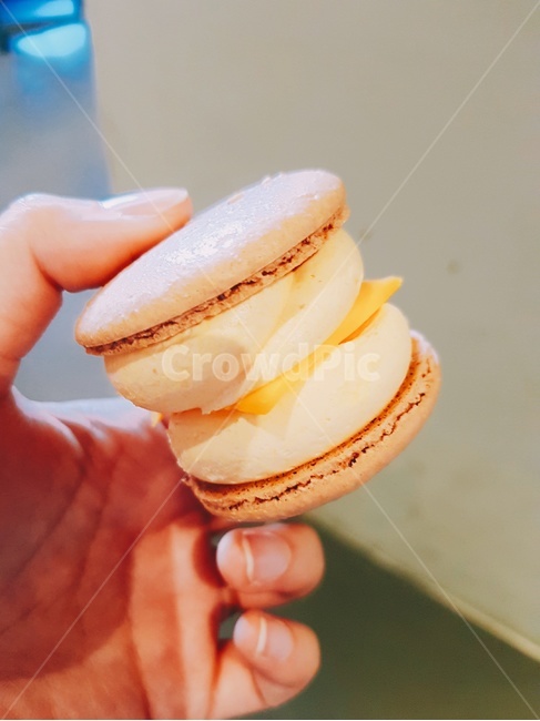 마카롱,뚱카롱,간식,꼬끄,디저트,후식,과자,dissert,amacaroon,크림,체다치즈,food