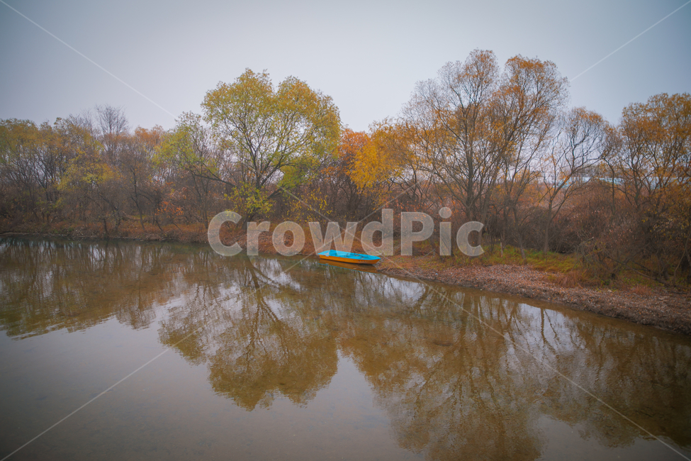북한강,새벽,풍경,안개,계절,자연,물,갈대,가을,계절,fall,autumn,season,자연,풍경,nature,landscape,land,땅,outdoors,옥외,water