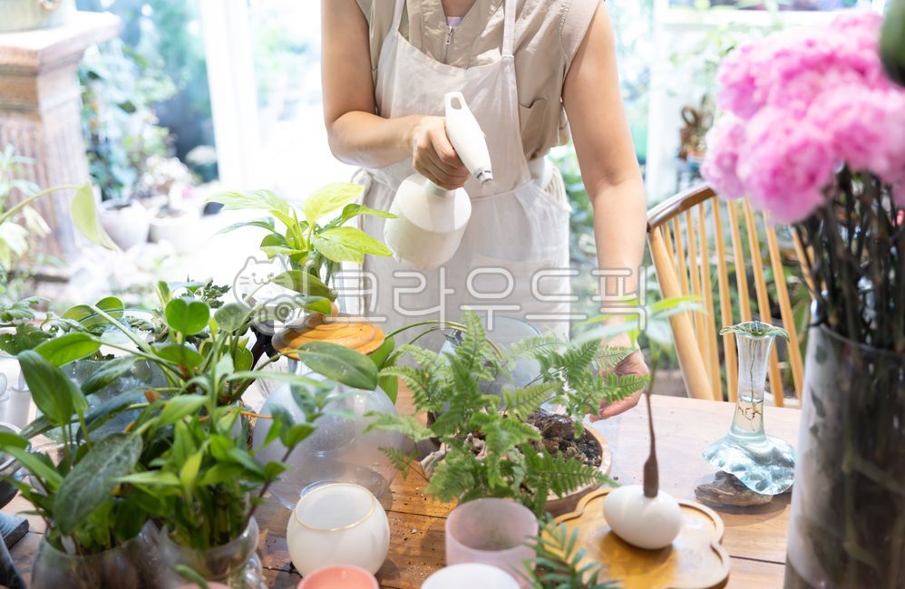 Small business,florist,sprayer,watering,sprinkling,care,management,business,merchant,store,home gardening,flowerpot,flower shop,plant,planterior,gardening,indoor,occupation,work,store owner,professional,Korean,flower arrangement,ret
