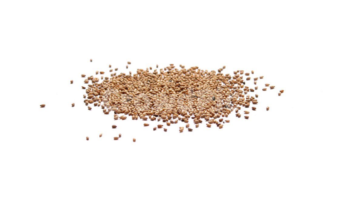 brown,closeup,dry,dummy,food,gold,grain,macro,meal,natural,nature,organic,plant,seed,seeds,sesame,sesameseed,sesameseeds,top,topangle,topview,yellow,깨,참깨,곡식,곡류,음식,음식재료,식재료,식물,씨앗,씨,갈색,브라운,말린,말리는,건조,자연,클로즈업,탑앵글,탑뷰,깨소금,농작물,농촌,농사,흰배경,더미,덩어리,많은,모아놓은,모으다,화이트,흰색,음식,식재료,요리,food,cook,meal,dishes,food reserves,곡류,곡식,cereals
