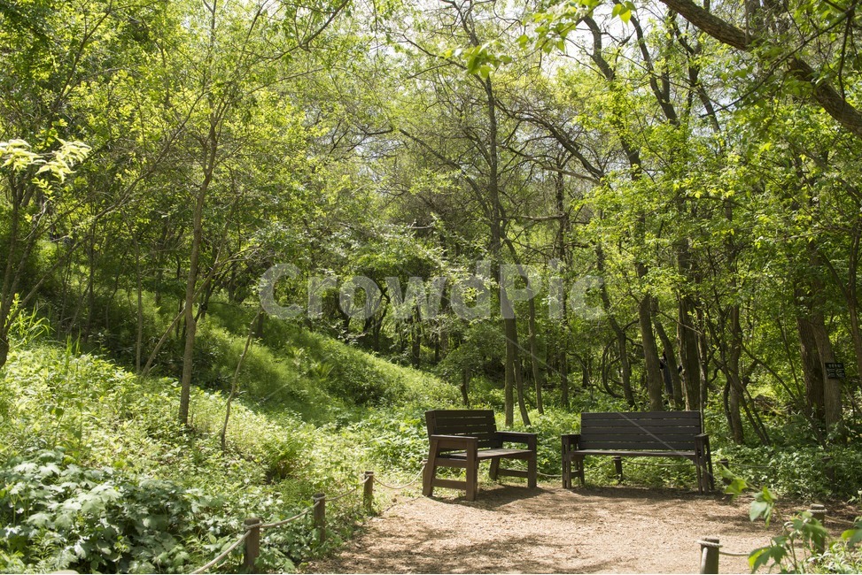 숲속,벤치,공원,나무,여름,계절,자연,풍경,nature,landscape,bench