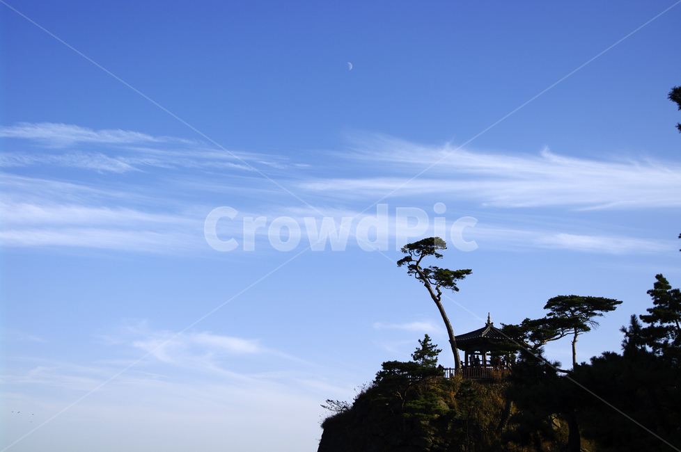 하늘,구름,소나무,나무,풍경,자연,풍경,nature,landscape,한국자연풍경,한국자연경관,korea nature landscape,outdoors,옥외