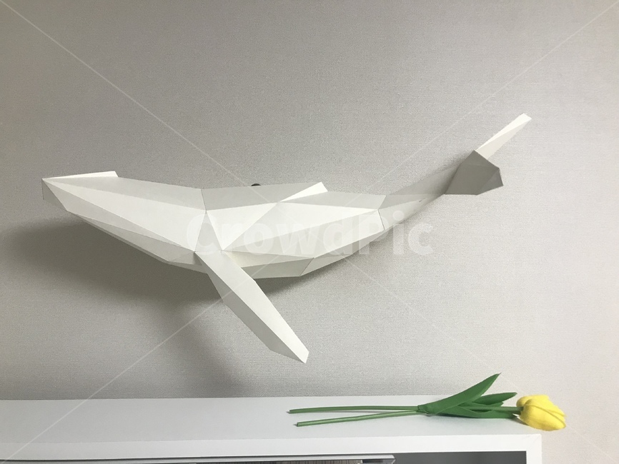 셀프인테리어,집꾸미기,고래,노란튤립,조화,튤립,인테리어,실내디자인,interior design