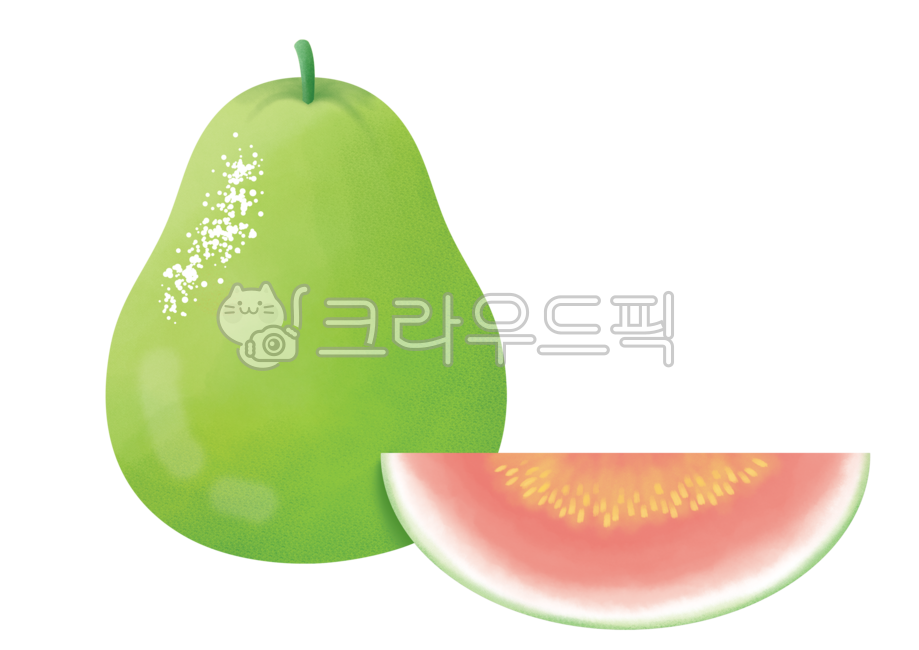 구아바,guava,guajava,과일,열매,수채화,과일수채화