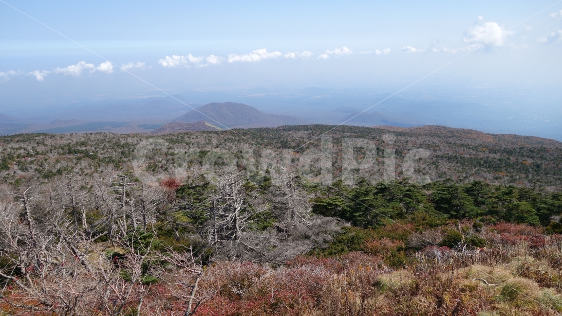 제주도,바다,자연,섬,하늘,갈대,시원하다,산,성산일출봉,한라산,제주,여름,가을,시원한,해양,여행,비행기,풍경,바닷가,해변,조화,배경,홈페이지,바람,자연경관,돌,고대지,풀,구름,들판,산길,백록담,산정상,산꼭대기,등산,트래킹,트레킹,워킹,돌담길,둘레길,걷다,반짝반짝,눈부신,부서지는,날씨,자연,풍경,nature,landscape,제주도,jeju,jeju island,plateau,고원,outdoors,옥외,wilderness,황야,land,땅
