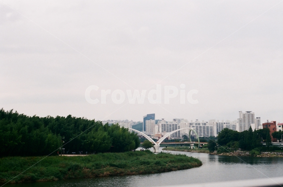 울산,십리대밭,울산광역시,태화강,ulsan
