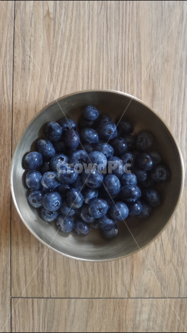 블루베리,보라색진주,진달래과,관목성식물,과일,열매,음식,식재료,요리,food,cook,meal,dishes,food reserves,과일,열매,fruit