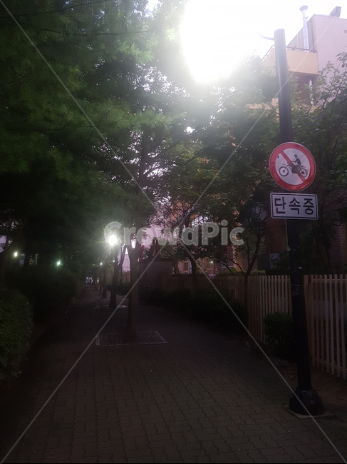 초등학교,안내판,금지,단속,가로등