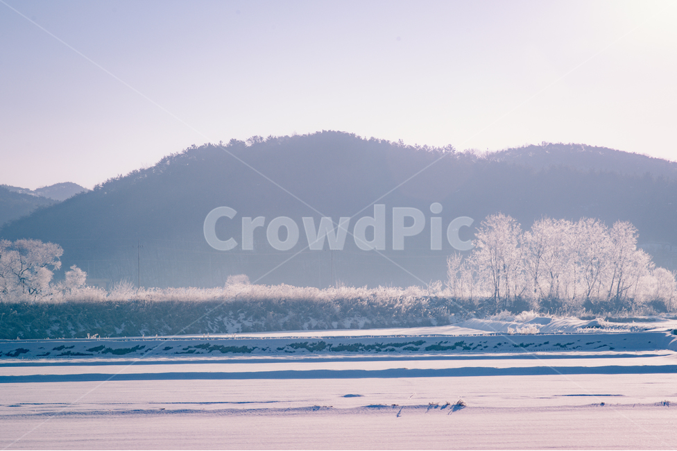 nature,자연,ice,빙,outdoors,옥외,겨울,나무,겨울,계절,winter,season