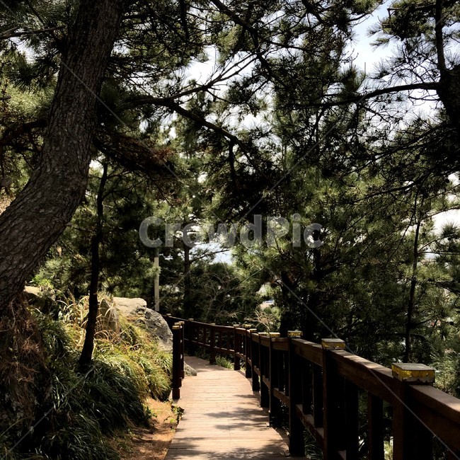 오름,둘레길,산책,산책로,휴식,힐링,제주도,숲,바다